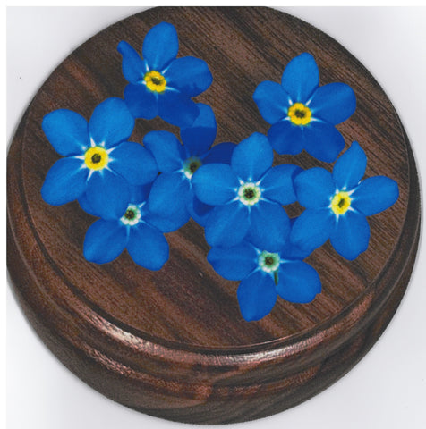 2018/ 2024 Lady Chapman "Forget Me Not" Gavel Pad